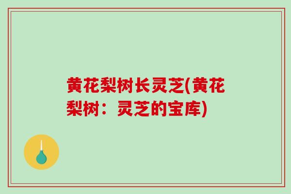 黄花梨树长灵芝(黄花梨树：灵芝的宝库)