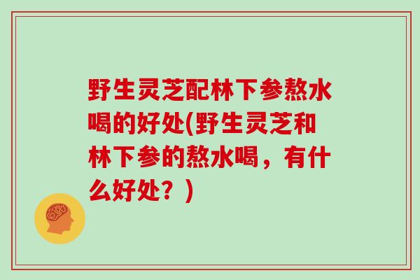野生灵芝配林下参熬水喝的好处(野生灵芝和林下参的熬水喝，有什么好处？)