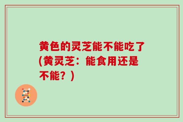 黄色的灵芝能不能吃了(黄灵芝：能食用还是不能？)