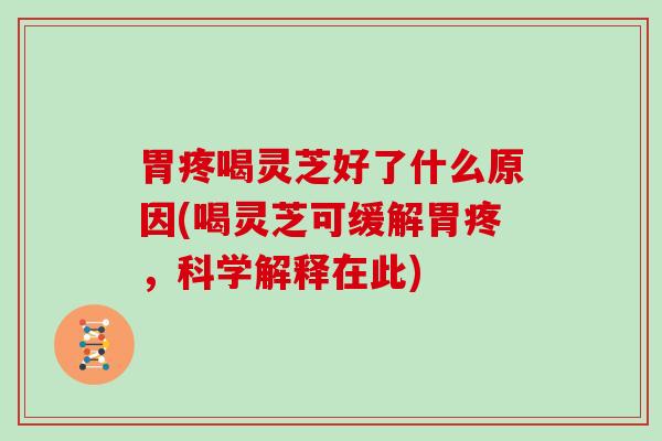 胃疼喝灵芝好了什么原因(喝灵芝可缓解胃疼，科学解释在此)