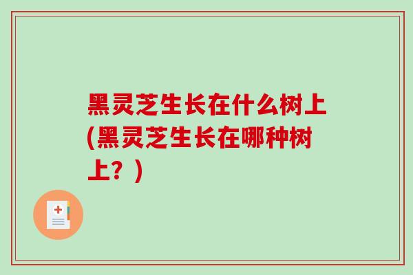 黑灵芝生长在什么树上(黑灵芝生长在哪种树上？)