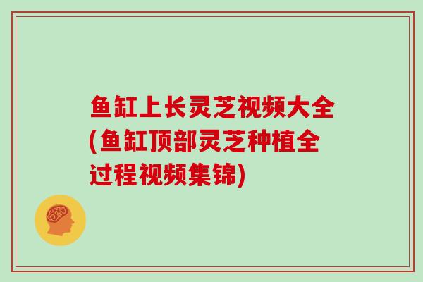 鱼缸上长灵芝视频大全(鱼缸顶部灵芝种植全过程视频集锦)