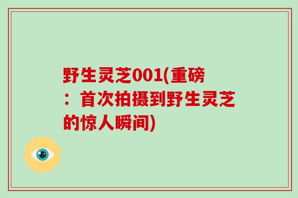 野生灵芝001(重磅：首次拍摄到野生灵芝的惊人瞬间)