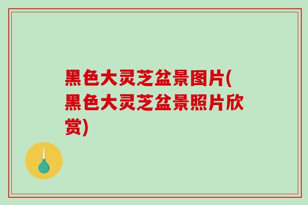 黑色大灵芝盆景图片(黑色大灵芝盆景照片欣赏)