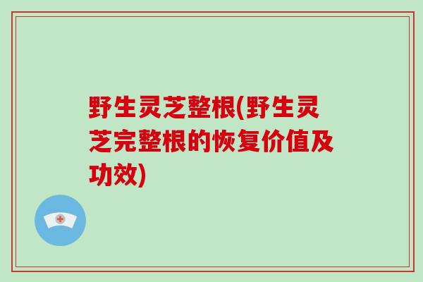 野生灵芝整根(野生灵芝完整根的恢复价值及功效)