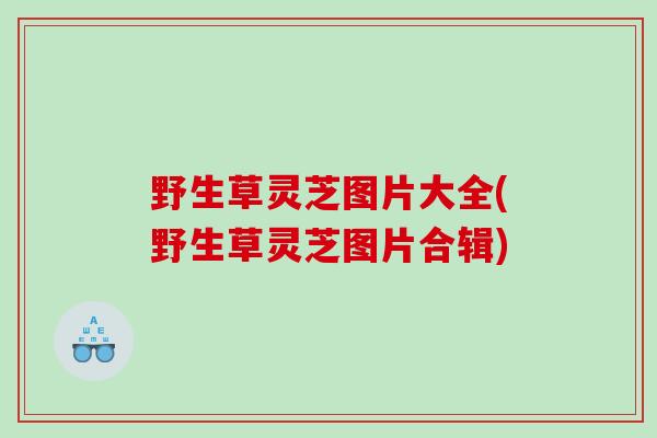野生草灵芝图片大全(野生草灵芝图片合辑)