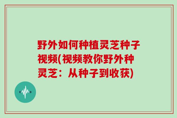 野外如何种植灵芝种子视频(视频教你野外种灵芝：从种子到收获)