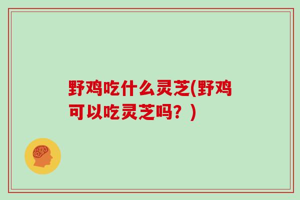 野鸡吃什么灵芝(野鸡可以吃灵芝吗？)