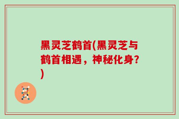 黑灵芝鹤首(黑灵芝与鹤首相遇，神秘化身？)