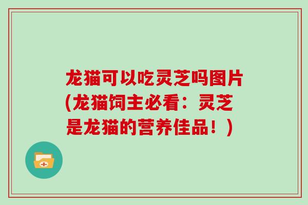 龙猫可以吃灵芝吗图片(龙猫饲主必看：灵芝是龙猫的营养佳品！)
