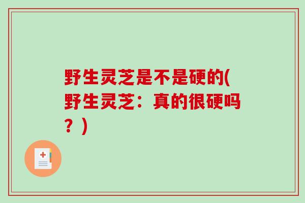 野生灵芝是不是硬的(野生灵芝：真的很硬吗？)