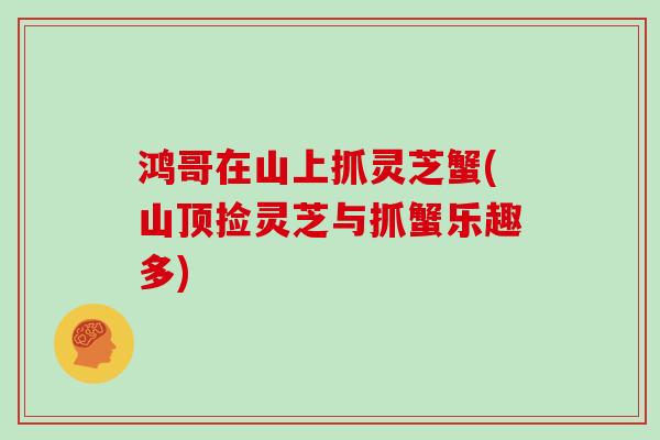 鸿哥在山上抓灵芝蟹(山顶捡灵芝与抓蟹乐趣多)