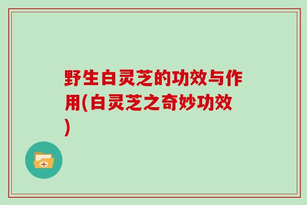 野生白灵芝的功效与作用(白灵芝之奇妙功效)