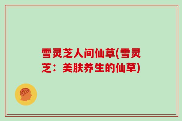 雪灵芝人间仙草(雪灵芝：美肤养生的仙草)