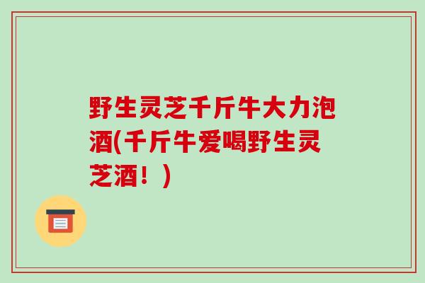 野生灵芝千斤牛大力泡酒(千斤牛爱喝野生灵芝酒！)