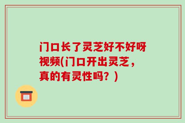 门口长了灵芝好不好呀视频(门口开出灵芝，真的有灵性吗？)