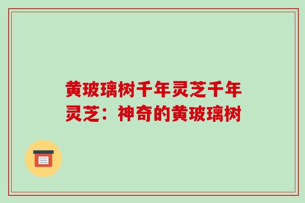 黄玻璃树千年灵芝千年灵芝:神奇的黄玻璃树 黄玻璃树千年灵芝千年灵芝:神奇的黄玻璃树
