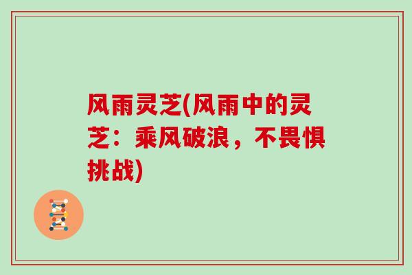 风雨灵芝(风雨中的灵芝：乘风破浪，不畏惧挑战)