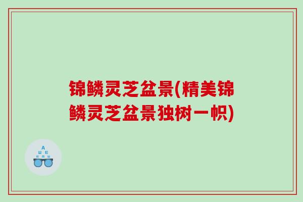 锦鳞灵芝盆景(精美锦鳞灵芝盆景独树一帜)