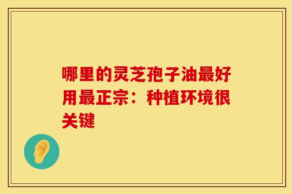 哪里的灵芝孢子油好用正宗：种植环境很关键