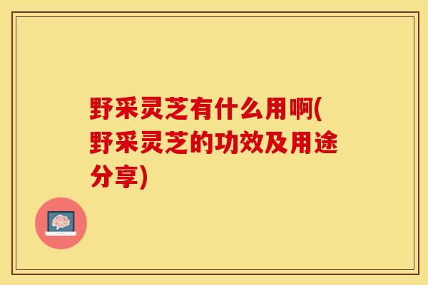 野采灵芝有什么用啊(野采灵芝的功效及用途分享)