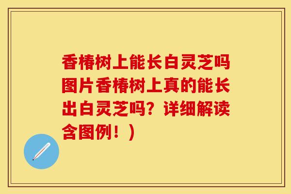 香椿树上能长白灵芝吗图片香椿树上真的能长出白灵芝吗？详细解读含图例！)