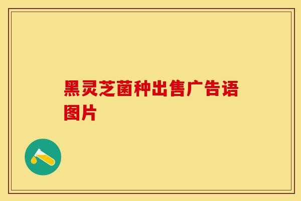 黑灵芝菌种出售广告语图片