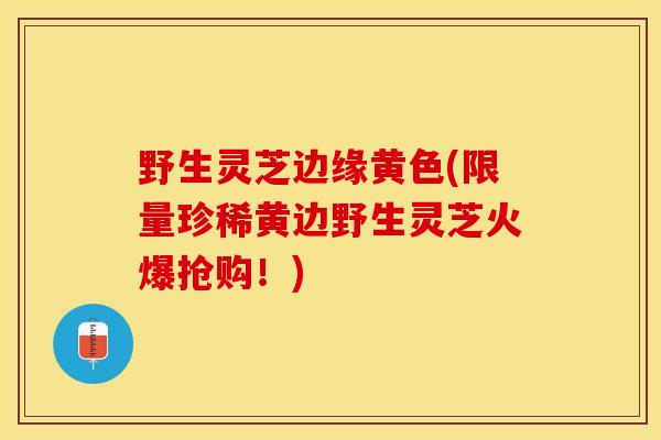 野生灵芝边缘黄色(限量珍稀黄边野生灵芝火爆抢购！)