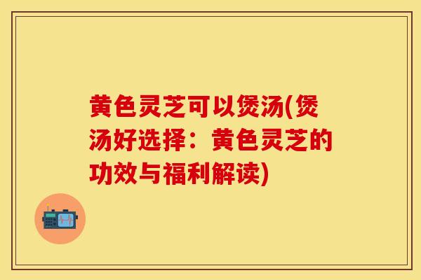 黄色灵芝可以煲汤(煲汤好选择：黄色灵芝的功效与福利解读)