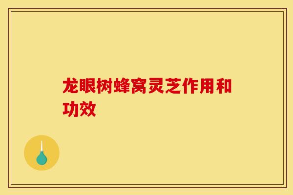 龙眼树蜂窝灵芝作用和功效
