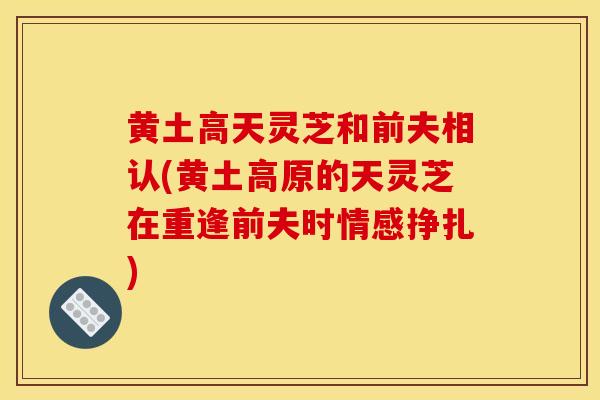 黄土高天灵芝和前夫相认(黄土高原的天灵芝在重逢前夫时情感挣扎)