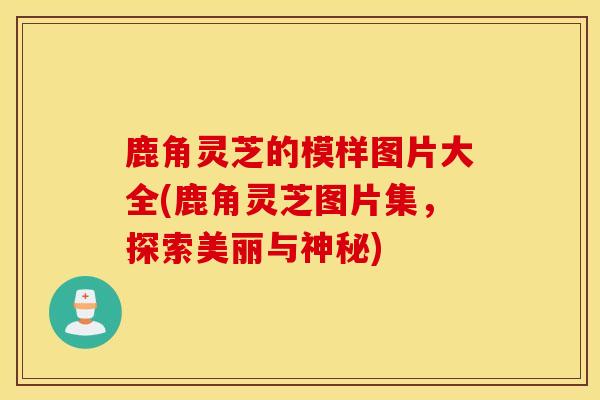鹿角灵芝的模样图片大全(鹿角灵芝图片集，探索美丽与神秘)