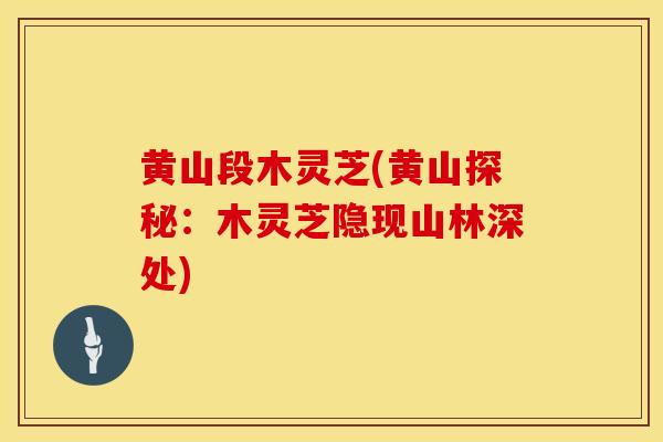 黄山段木灵芝(黄山探秘：木灵芝隐现山林深处)