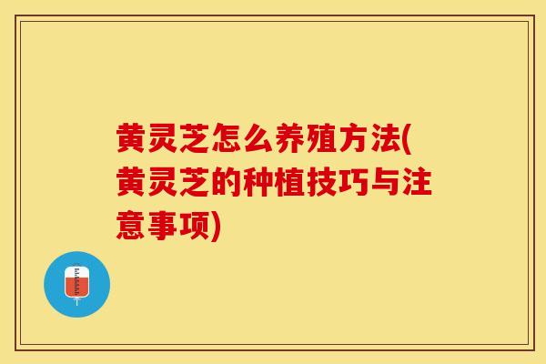 黄灵芝怎么养殖方法(黄灵芝的种植技巧与注意事项)