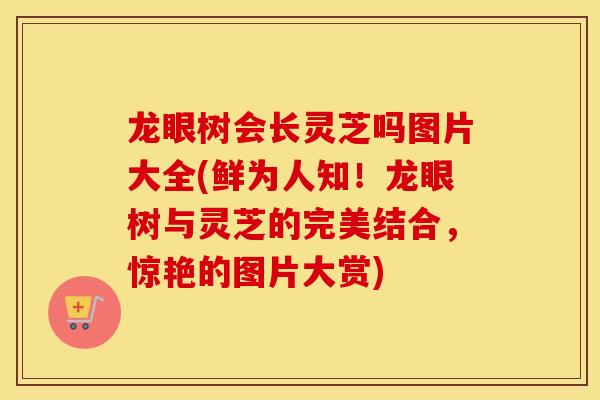 龙眼树会长灵芝吗图片大全(鲜为人知！龙眼树与灵芝的完美结合，惊艳的图片大赏)