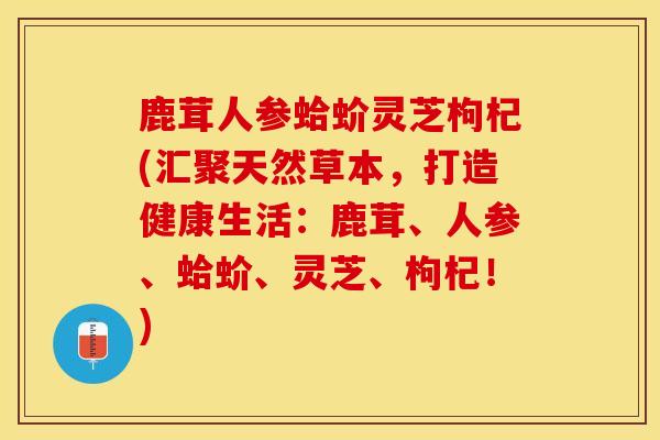 鹿茸人参蛤蚧灵芝枸杞(汇聚天然草本，打造健康生活：鹿茸、人参、蛤蚧、灵芝、枸杞！)