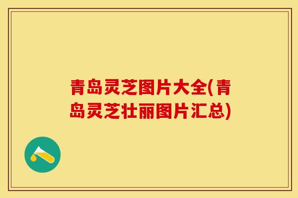 青岛灵芝图片大全(青岛灵芝壮丽图片汇总)