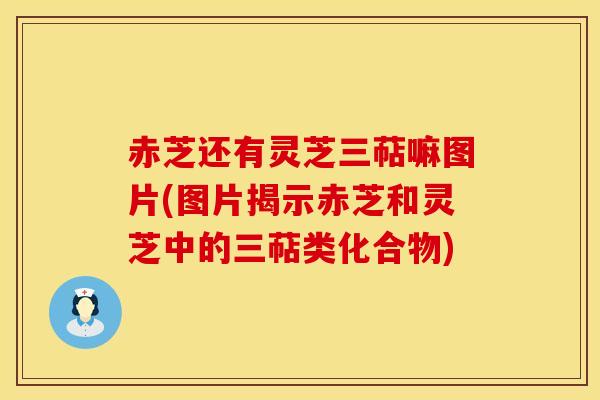 赤芝还有灵芝三萜嘛图片(图片揭示赤芝和灵芝中的三萜类化合物)
