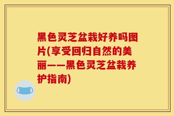 黑色灵芝盆栽好养吗图片(享受回归自然的美丽——黑色灵芝盆栽养护指南)