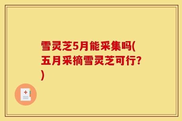 雪灵芝5月能采集吗(五月采摘雪灵芝可行？)