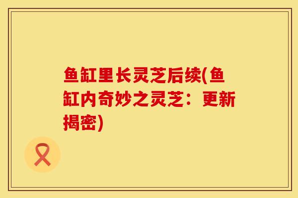 鱼缸里长灵芝后续(鱼缸内奇妙之灵芝：更新揭密)