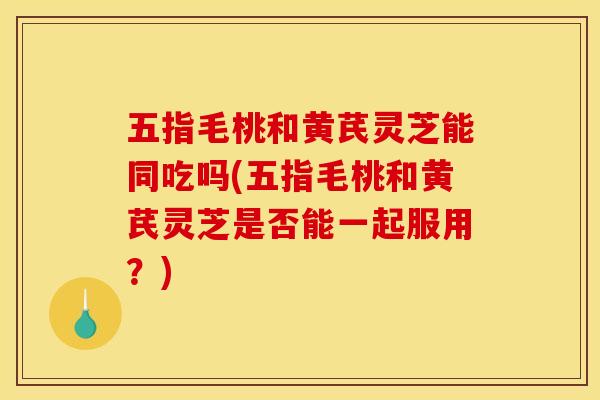 五指毛桃和黄芪灵芝能同吃吗(五指毛桃和黄芪灵芝是否能一起服用?) 五指毛桃和黄芪灵芝能同吃吗(五指毛桃和黄芪灵芝是否能一起服用?)