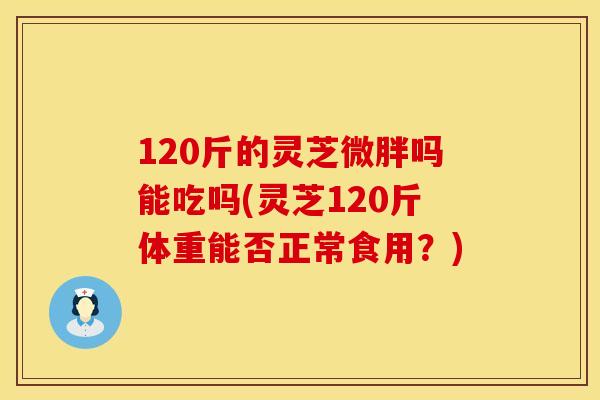 120斤的灵芝微胖吗能吃吗(灵芝120斤体重能否正常食用？)