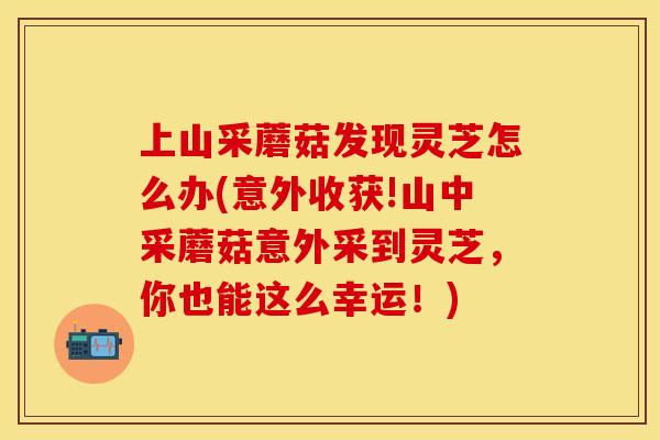 上山采蘑菇发现灵芝怎么办(意外收获!山中采蘑菇意外采到灵芝，你也能这么幸运！)