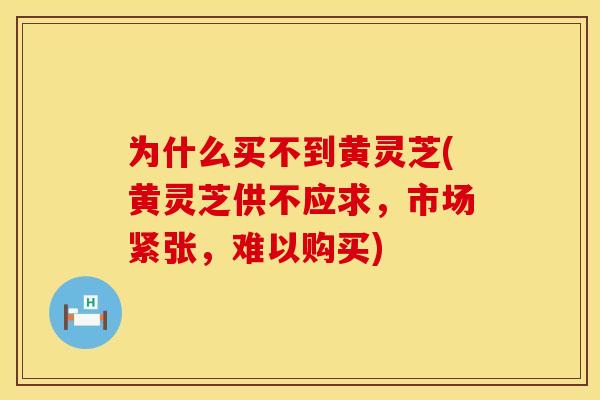 为什么买不到黄灵芝(黄灵芝供不应求，市场紧张，难以购买)