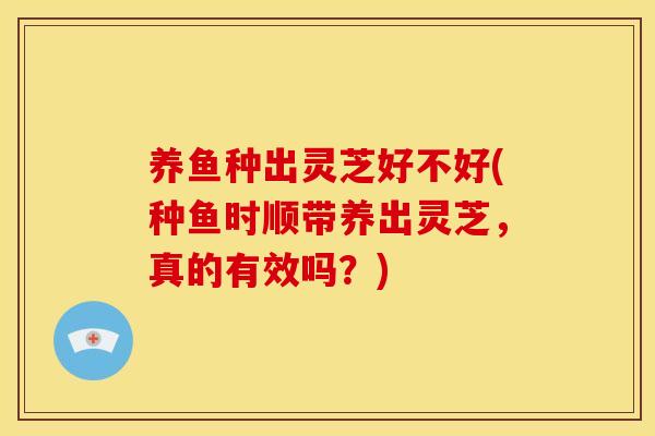 养鱼种出灵芝好不好(种鱼时顺带养出灵芝，真的有效吗？)