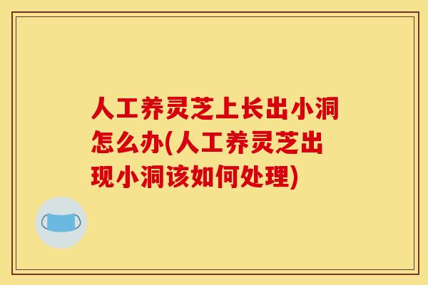 人工养灵芝上长出小洞怎么办(人工养灵芝出现小洞该如何处理)