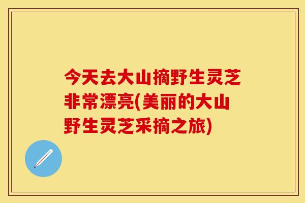 今天去大山摘野生灵芝非常漂亮(美丽的大山野生灵芝采摘之旅)