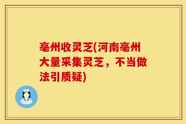 亳州收灵芝(河南亳州大量采集灵芝，不当做法引质疑)