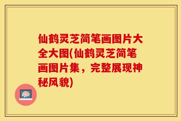 仙鹤灵芝简笔画图片大全大图(仙鹤灵芝简笔画图片集，完整展现神秘风貌)